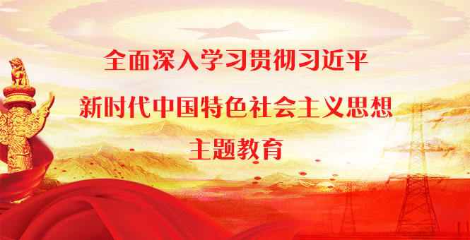 学习贯彻习近平新时代中国特色社会主义头脑主题教育