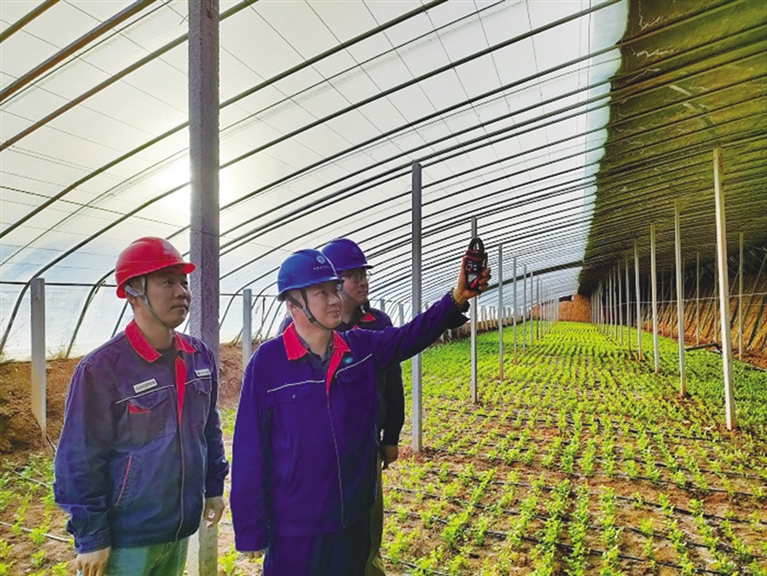 助力农业莳植生长   确保生产稳固供电