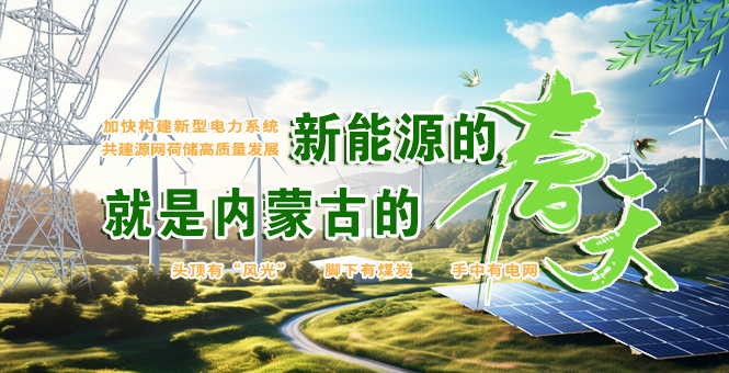 加速构建新型电力系统 共建源网荷储高质量生长事情
