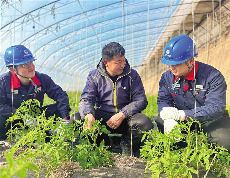 “满格电”优效劳   “柿柿如意”助增收