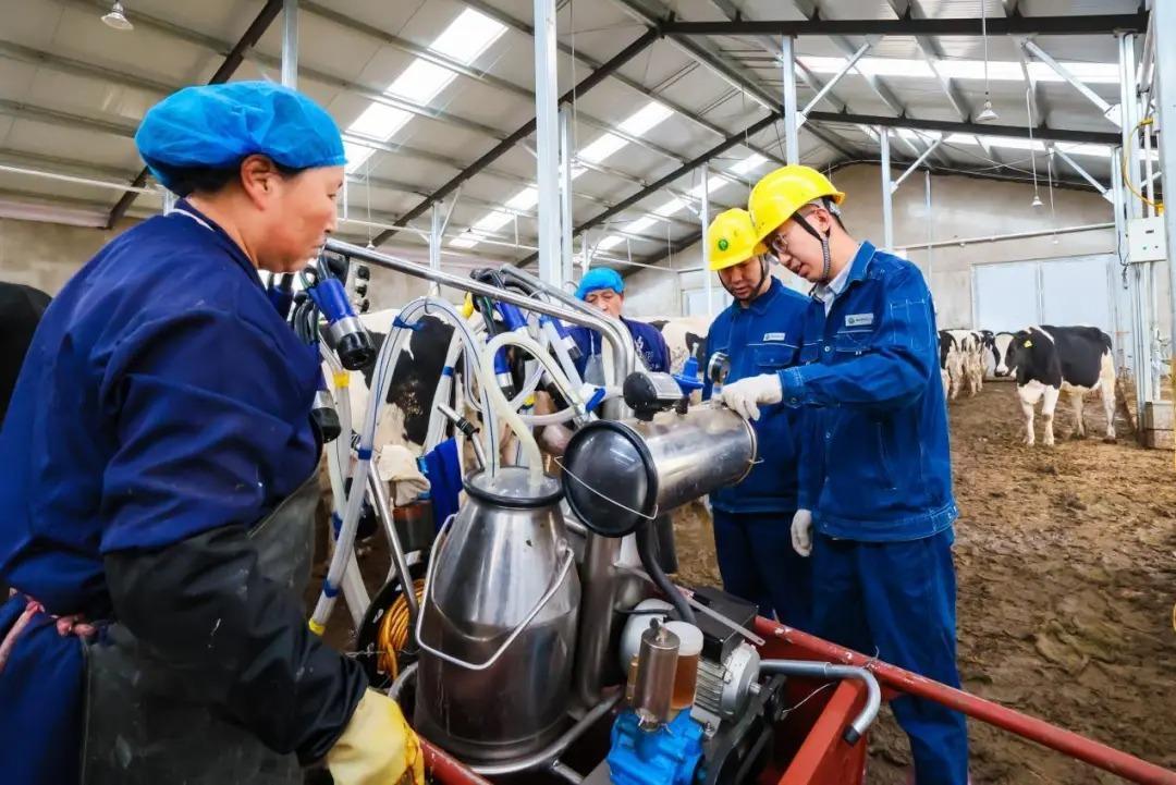 全发国际app·(中国区)官方网站