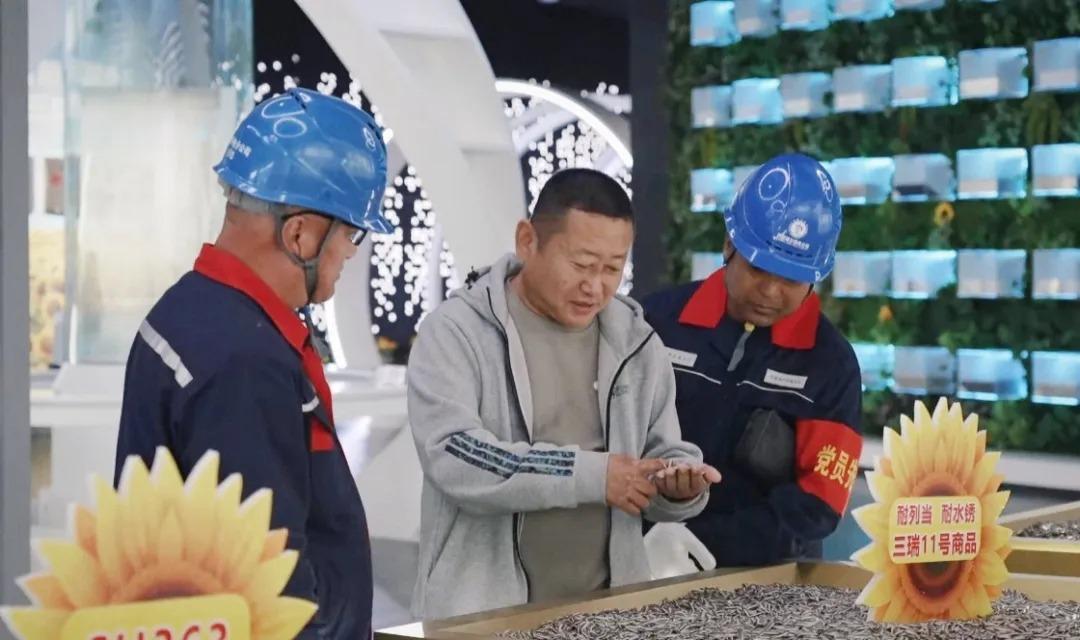 照亮葵乡“金色工业”振兴路