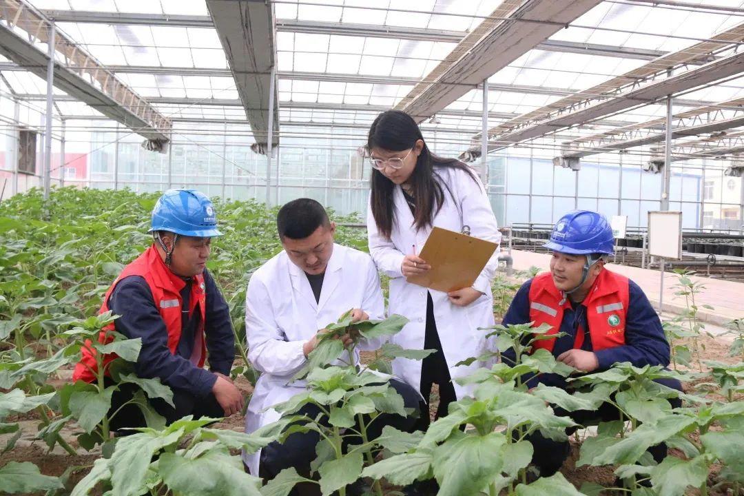 全发国际app·(中国区)官方网站