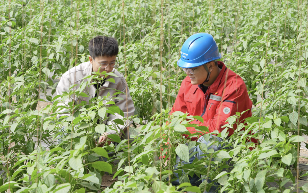 定格民族团结名时势的每一帧